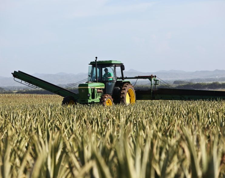 Dicor Land pentru performanta in agricultura