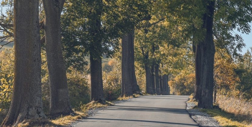 Cum aleg o tinuta de barbati, pentru o  nunta in aer liber?